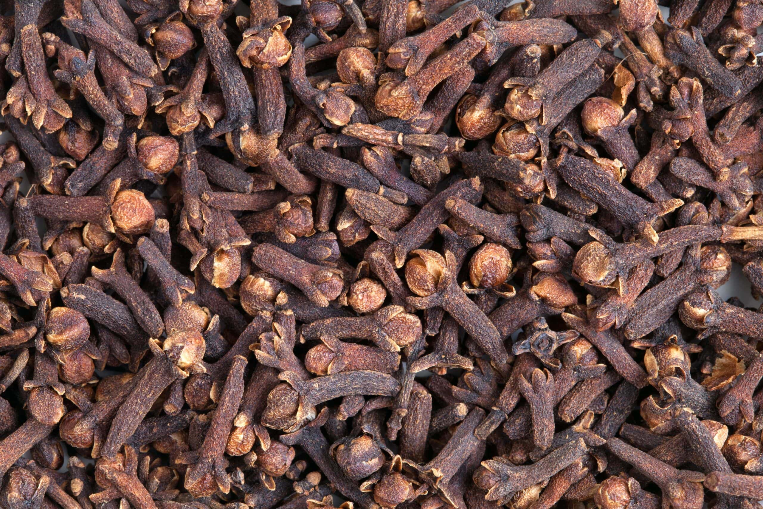 Clove